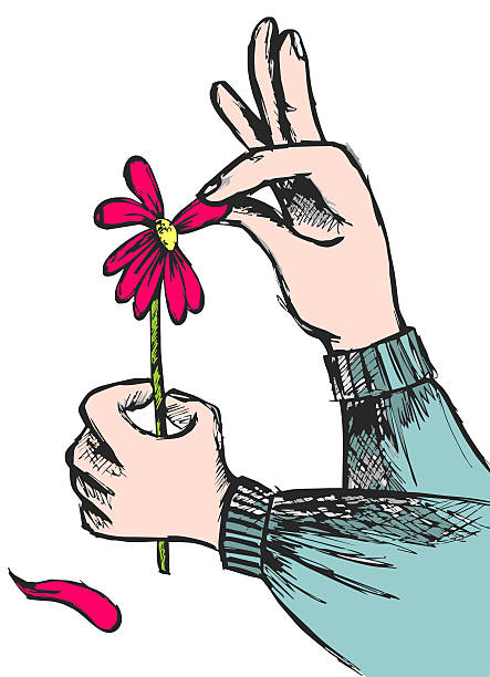 Hands plucking off the petals of a red flower on white background.